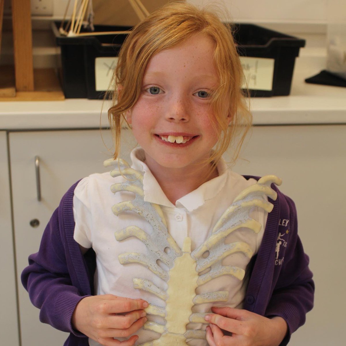 LoseleyFields's tweet photo. We recently borrowed a box of bones from @haslemeremuseum and the children throughly enjoying seeing them during our lunchtime ‘drop in’ bone exhibition in the science lab.
#Science #Bones #Skeleton #LoseleyFields #HaslemereMuseum #Binscombe #Farncombe #Godalming https://t.co/7aX8yxMfxB