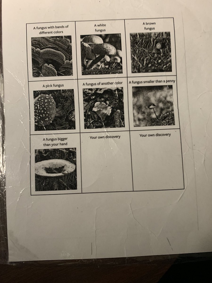 Anne-Marie Fenn tweet media