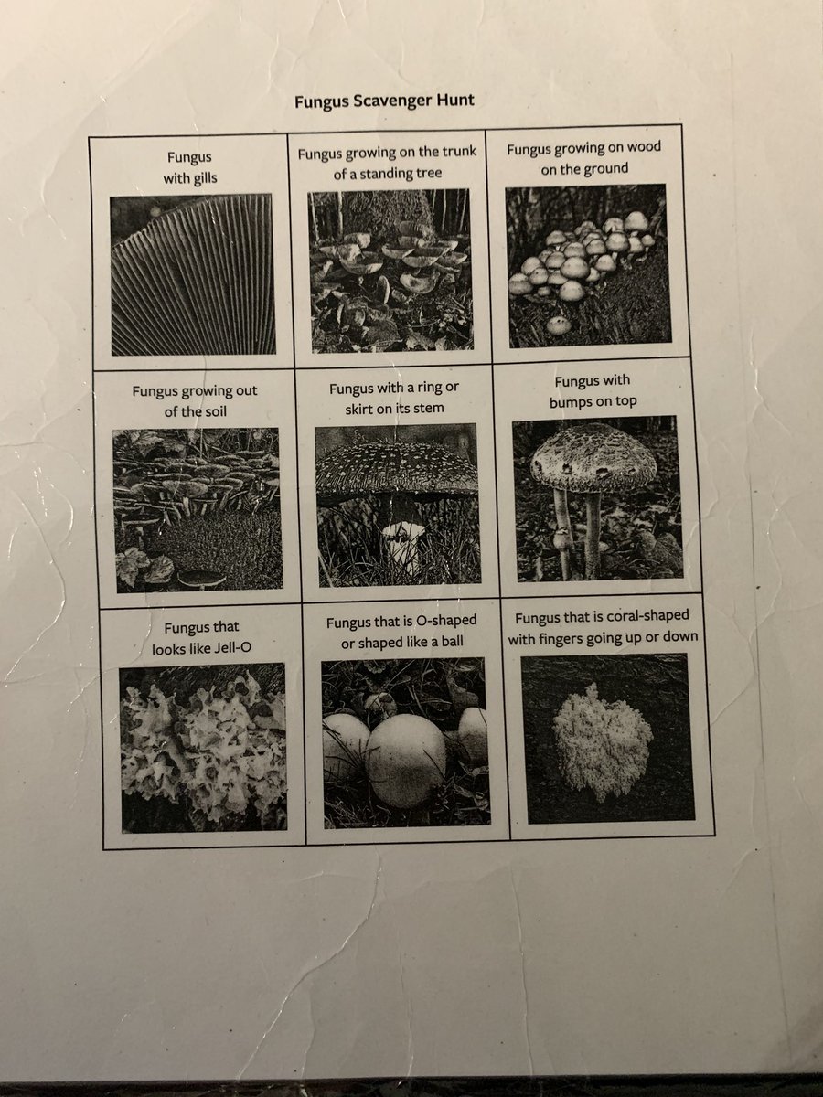 Anne-Marie Fenn tweet media