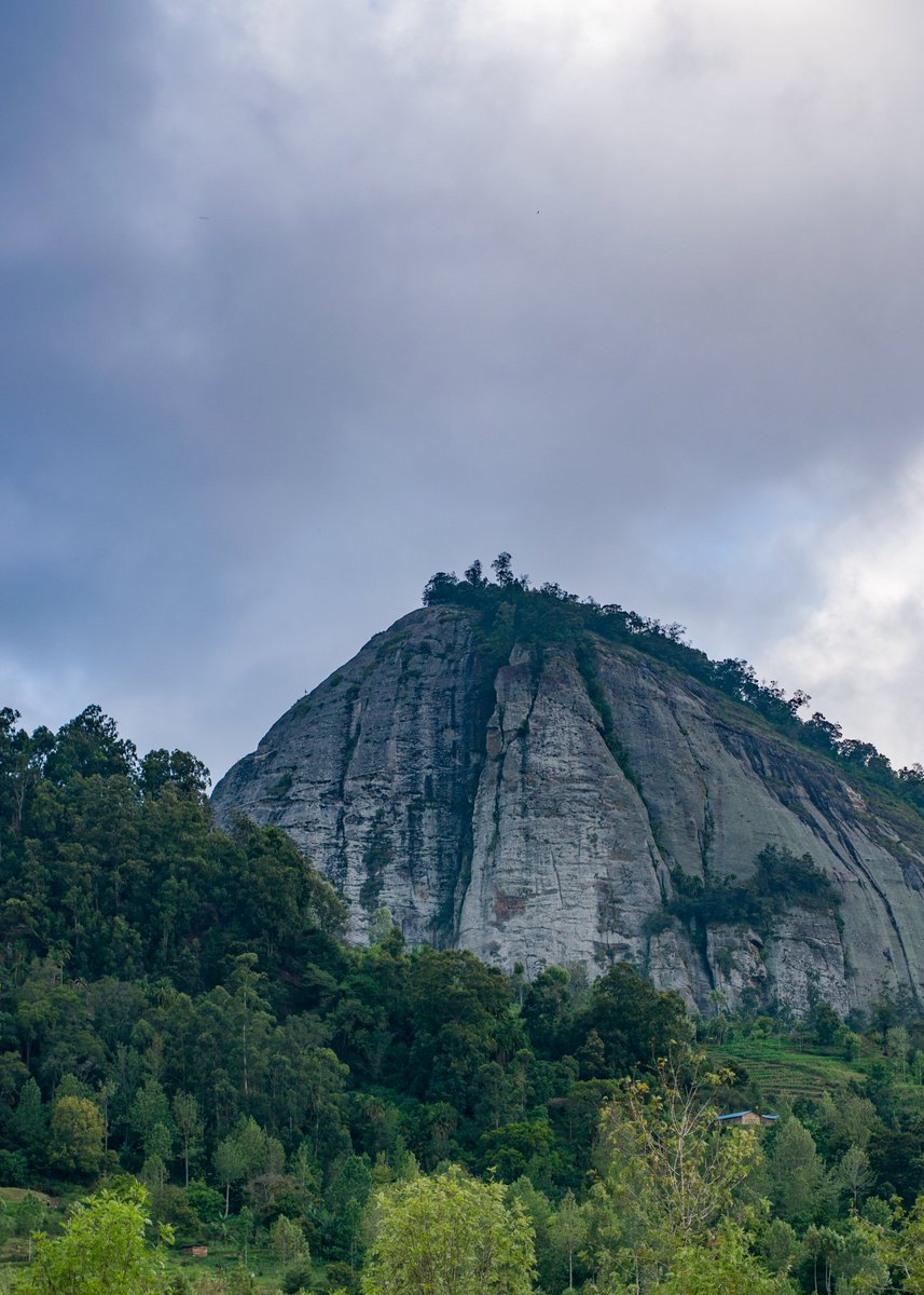 gibsonmreta's tweet photo. The higher you climb the better the view
#wesu #nature #photography
📸 @mretagibson https://t.co/SE097FZFRf