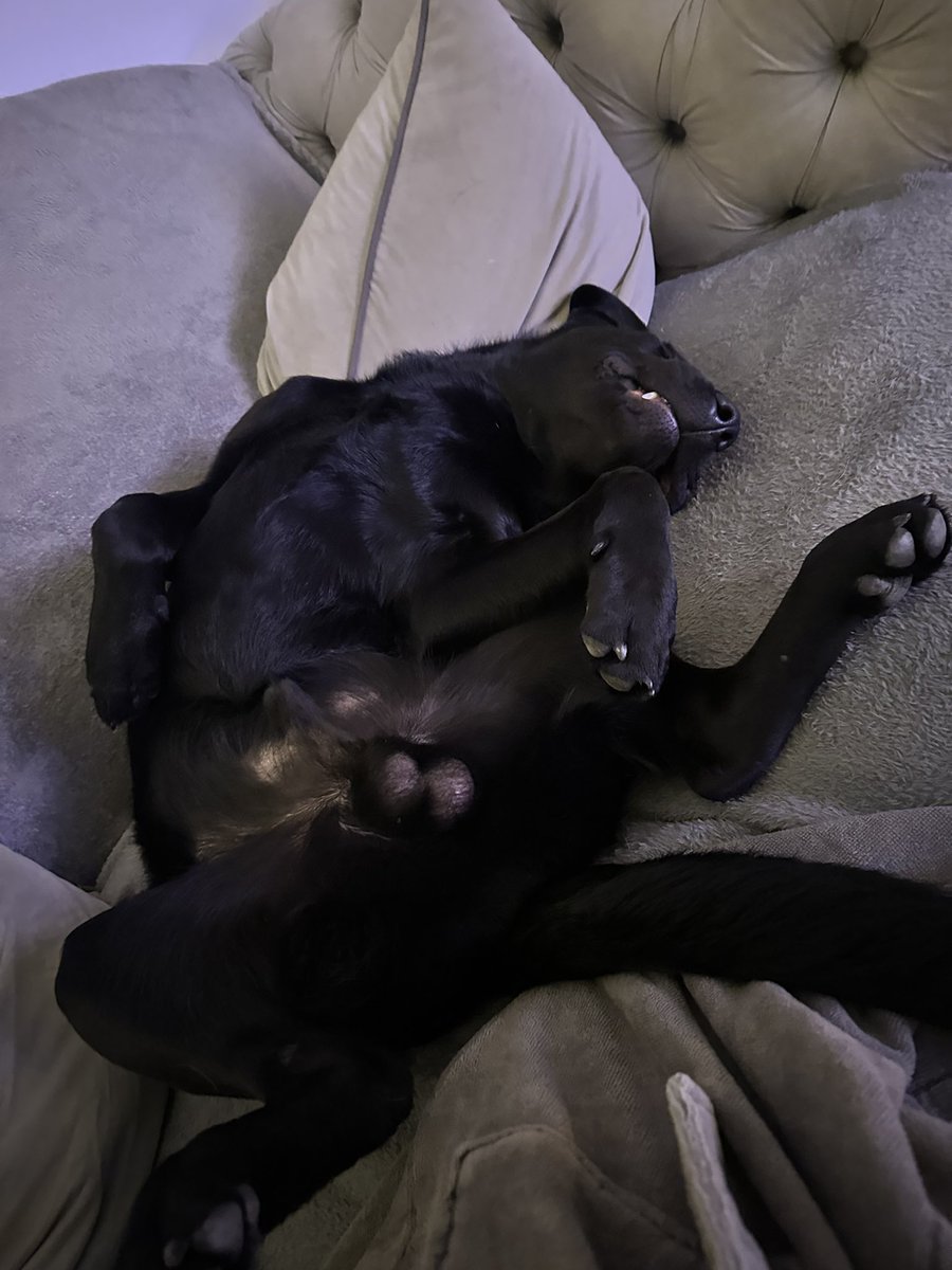 We finkz Rory iz broken