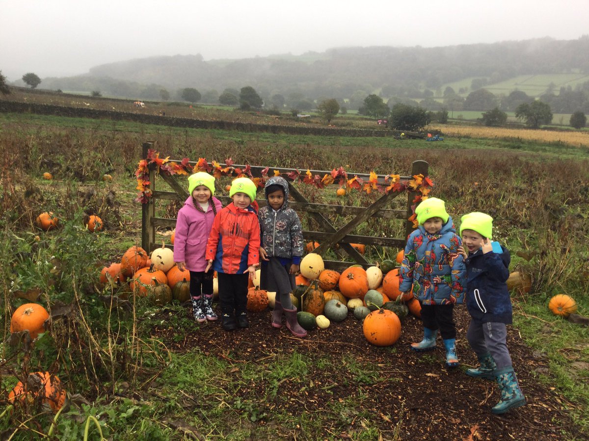 stjosephskly's tweet photo. A fabulous place to visit and enjoy autumnal fun! #teamhazel #receptionfun https://t.co/eOb3Ci00D1