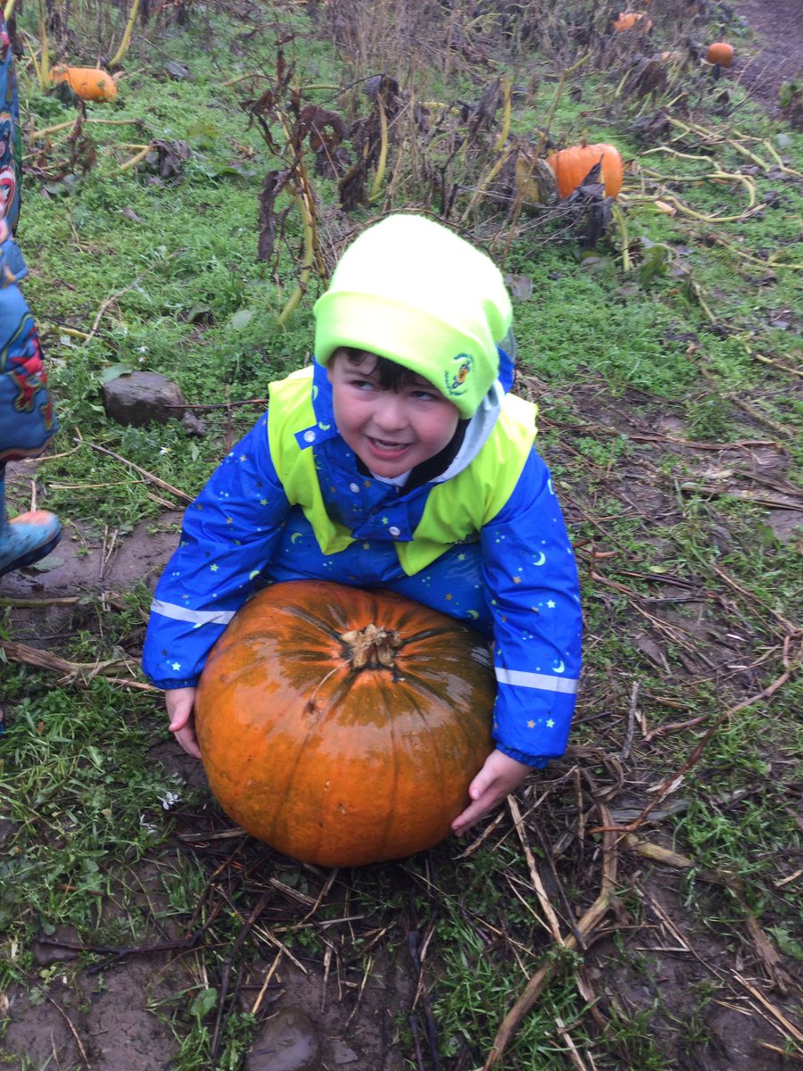 stjosephskly's tweet photo. A fabulous place to visit and enjoy autumnal fun! #teamhazel #receptionfun https://t.co/eOb3Ci00D1