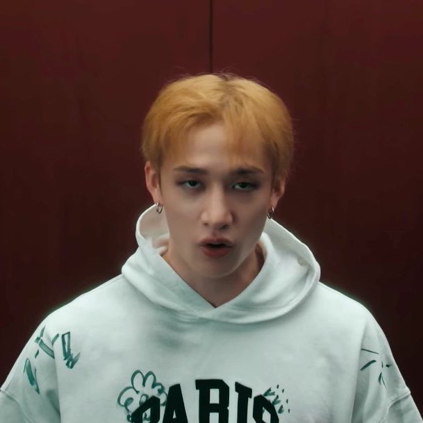 bangchan as puppies tweet media