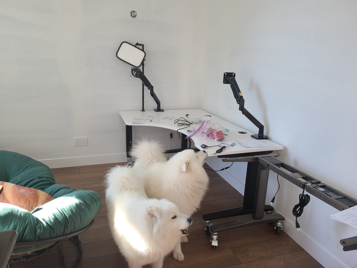 MsVixen (@MsVixen) / X