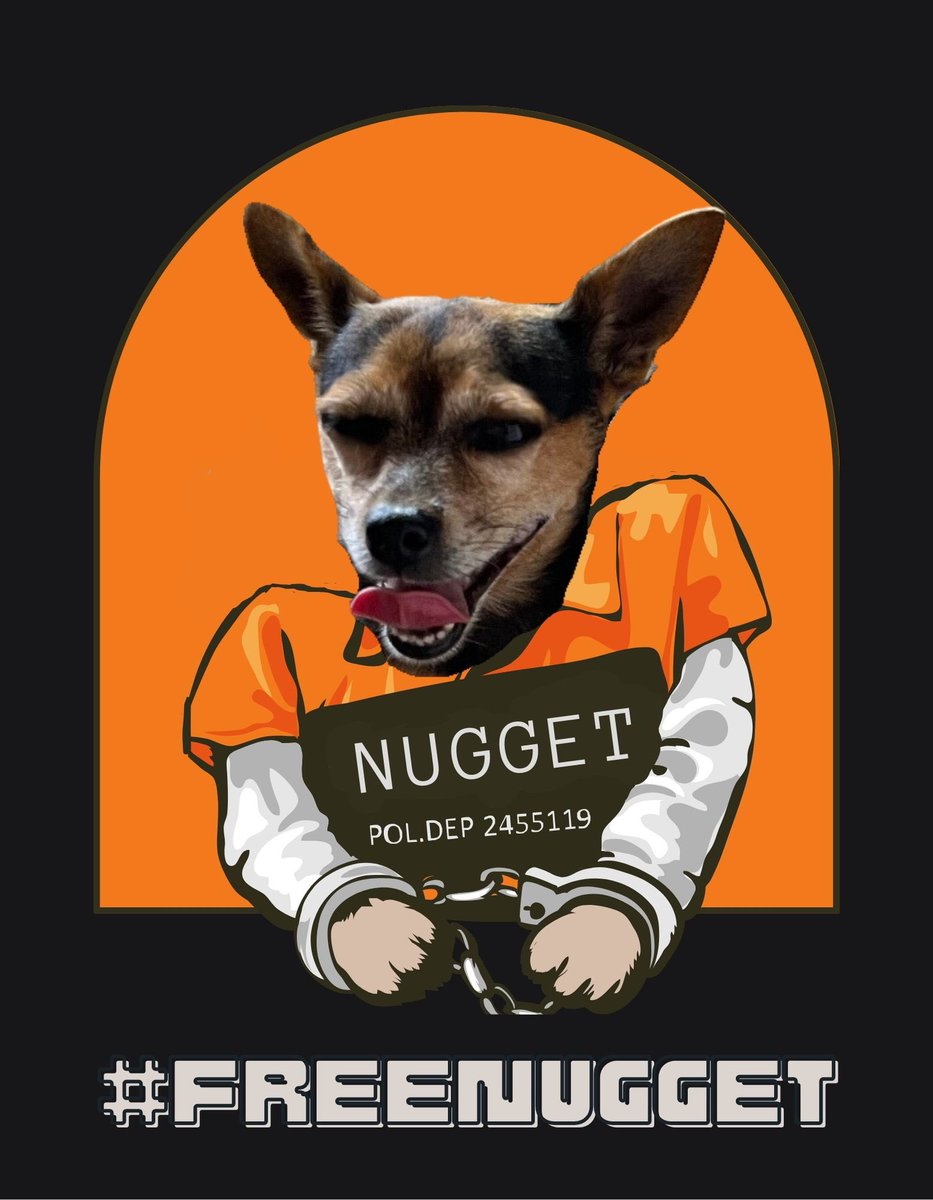 PodcastSTS's tweet photo. #FreeNugget https://t.co/7QsmiKlRRQ