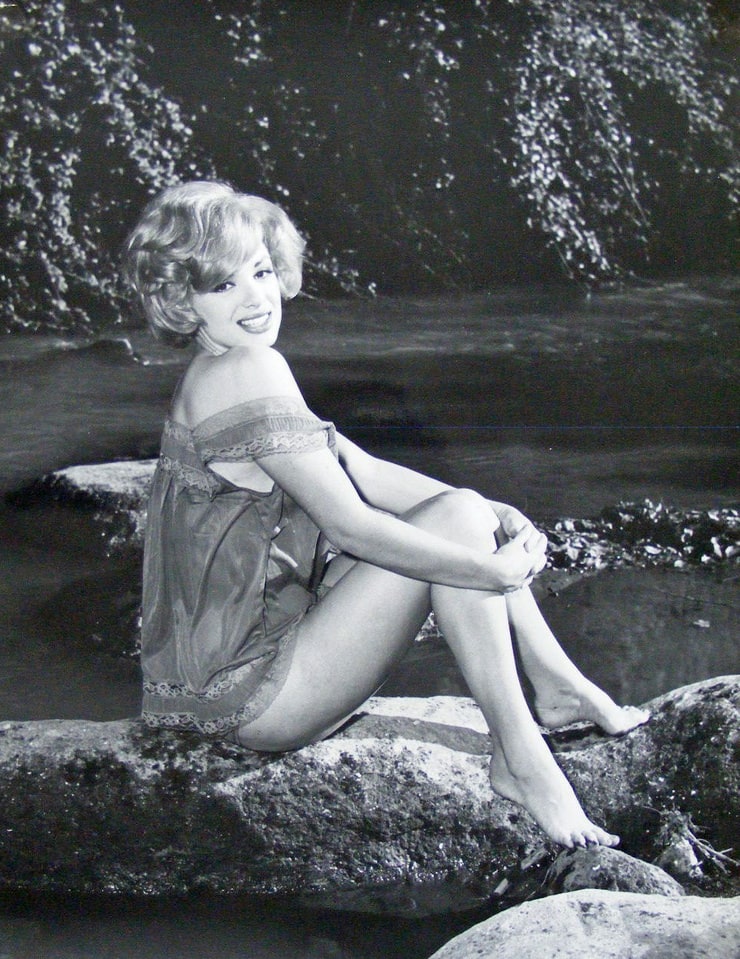 WAGongaware's tweet photo. British actress Margaret Lee
#ForeignFilm #60sLadies https://t.co/VUYHLdHlzZ