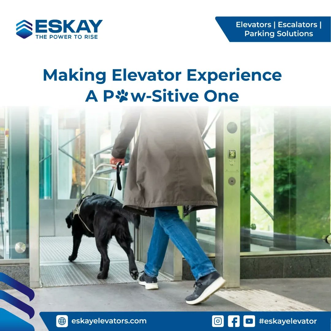 eskayelevators's tweet photo. Elevator moments just got fur-tastic!

From carriers to calming kiddos, let’s create a harmonious space for everyone onboard.

https://t.co/pC4WRvFsNd

#ElevatorAdventures #FurTasticJourneys #HarmoniousSpaces #PetFriendlyElevators #AllAboardWithPets https://t.co/tqgo3gCBau