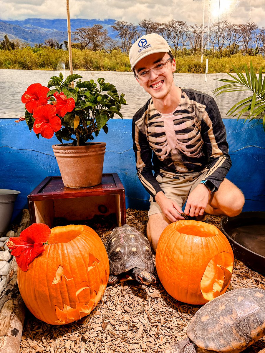 CMAquarium's tweet photo. Our tortoises are ready for Halloween Spooktacular, are you? 🎃 Enjoy daily activities and spooky decorations 10/27 -10/31. On Oct. 31 from 3pm-7pm, join us for eerie excitement, featuring a live entertainment, costume contest, a dozen trick-or-treat stations for kids and more! https://t.co/IRdzxmURPq