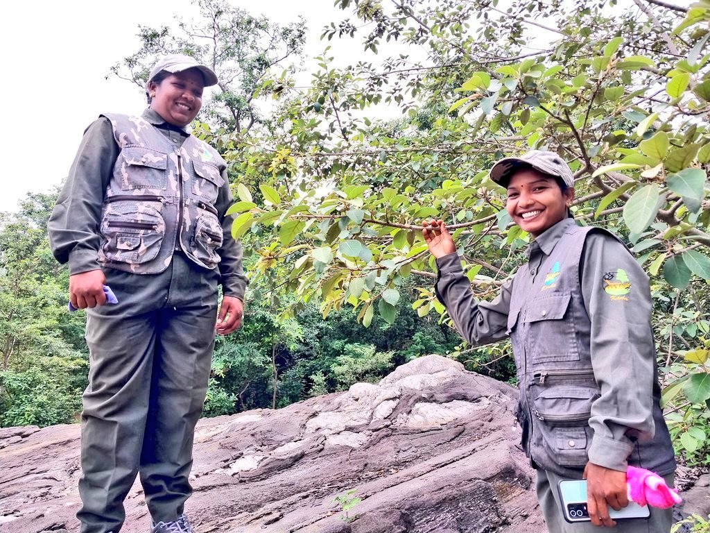 deepanwita_t's tweet photo. It was a pleasure to meet two strong women from Kanha. Safari guides Ramkali Dhurwey &amp; Dhanti Maravi. @TheCitizen_in @HansrajMeena @TribalArmy 
https://t.co/kYwssKYgKE @ntca_india
#50YearsOfProjectTiger https://t.co/ZnMU5VSKoZ