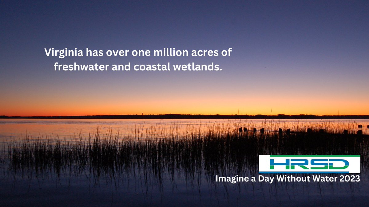 In recognition of #ImagineADayWithoutWater on October 19, HRSD celebrates the importance of Virginia's waters and our work to safeguard it by treating wastewater to the highest standard.
