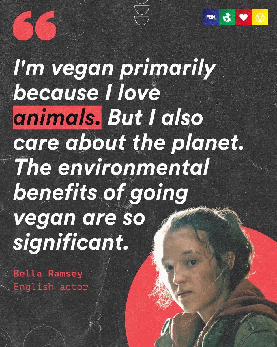 PlantBasedNews's tweet photo. Bella Ramsey 👏 

If you're vegan, why did you make the switch? Was it the animals or the planet? https://t.co/kZctmYxm3I