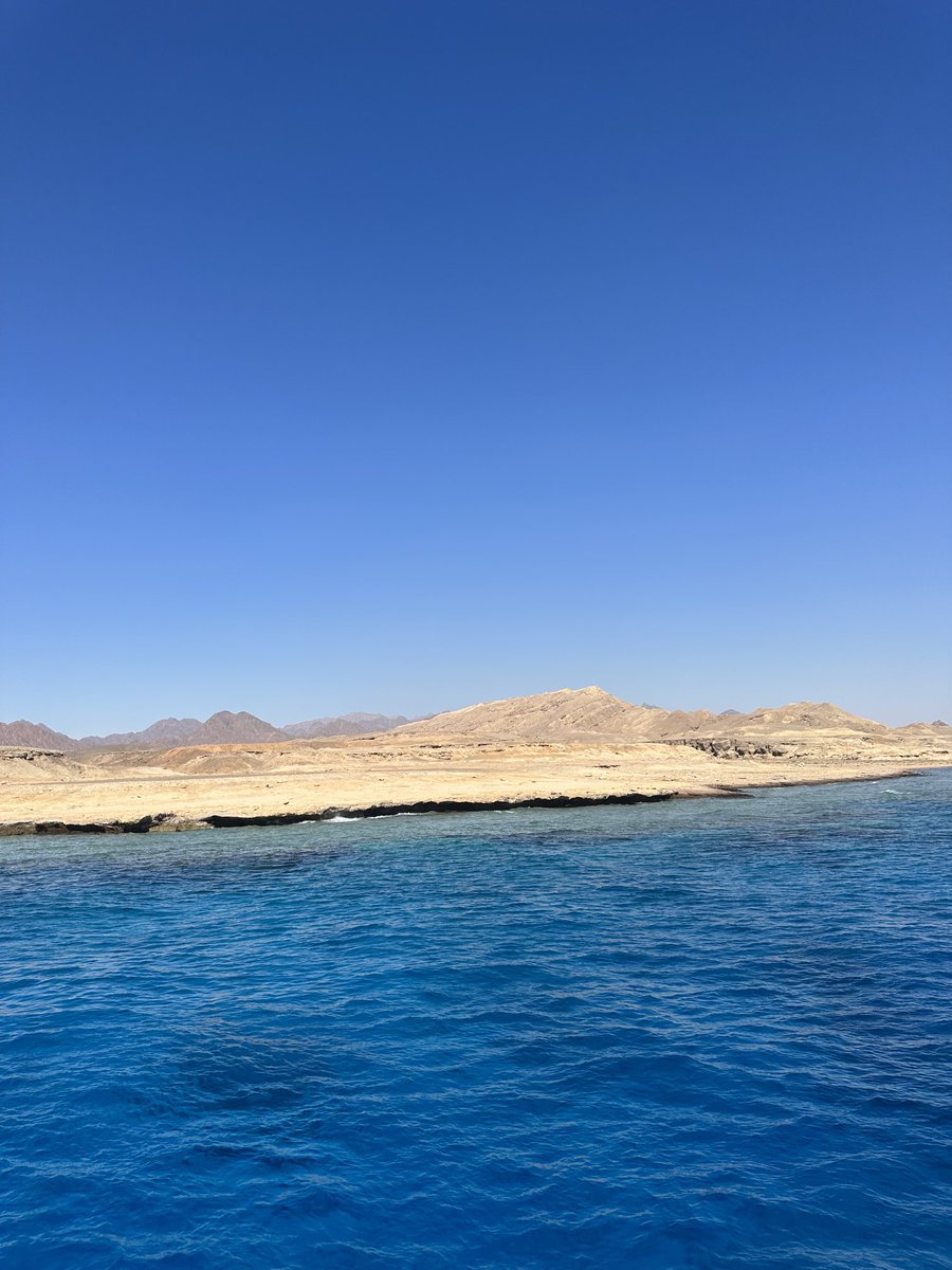 placesandviews's tweet photo. desert meets the sea, red sea egypt. https://t.co/EOP5GCv7AK