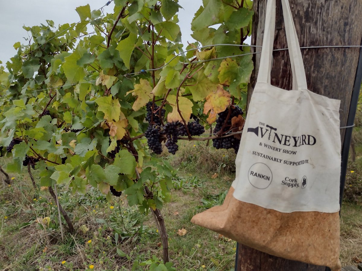 Clayhill Vineyard (@infoclayhill) on Twitter photo Nice use of a free bag from the Vineyard & Winery Show 2022 . . .  our daily lunch bag. #lunchtime  #nosebag <a href="/VineyardMagGB/">Vineyard Magazine</a> 
Looking forward to the 2023 show . . . just need to get harvest and winemaking out of the way. #pickingpinot #harvest23 Nice use of a free bag from the Vineyard & Winery Show 2022 . . .  our daily lunch bag. #lunchtime  #nosebag <a href="/VineyardMagGB/">Vineyard Magazine</a> 
Looking forward to the 2023 show . . . just need to get harvest and winemaking out of the way. #pickingpinot #harvest23