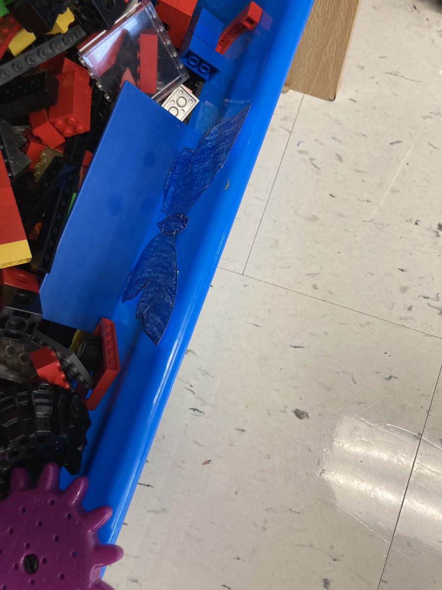 6A/B had an awesome time today exploring biodiversity through a fun “survival of the fittest” camouflage competition. Well done 6’s! <a href="/TribuneDrive/">Tribune Drive P.S.</a> <a href="/j_diplock/">Ms Diplock</a>