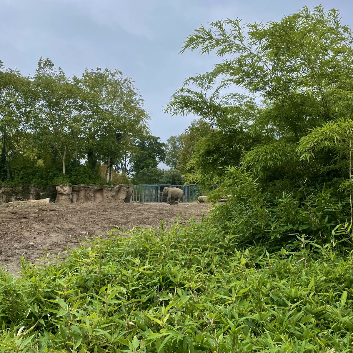 Sampling session today at @DublinZoo alongside other 4th year students working on their projects involving #eDNA analysis. 🧬