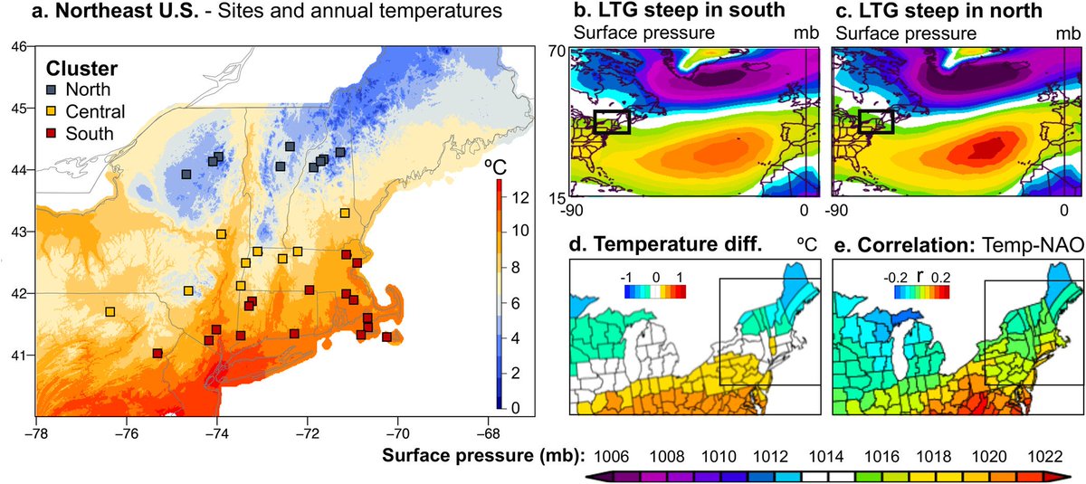 Bryan Shuman | Promote democracy, condemn violence tweet media