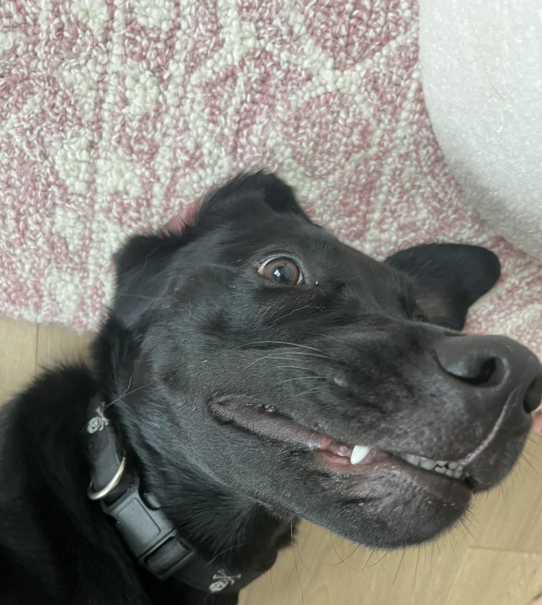 You're impossibly fast, and strong. Your skin is pale white and ice cold. Your eyes change color, and sometimes you speak like – like you're from a different time. You never eat or drink anything. You don't go out in the sunlight
I know what you are…