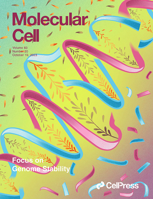 Our latest issue is a Focus on Genome Stability. Read more here: cell.com/molecular-cell…