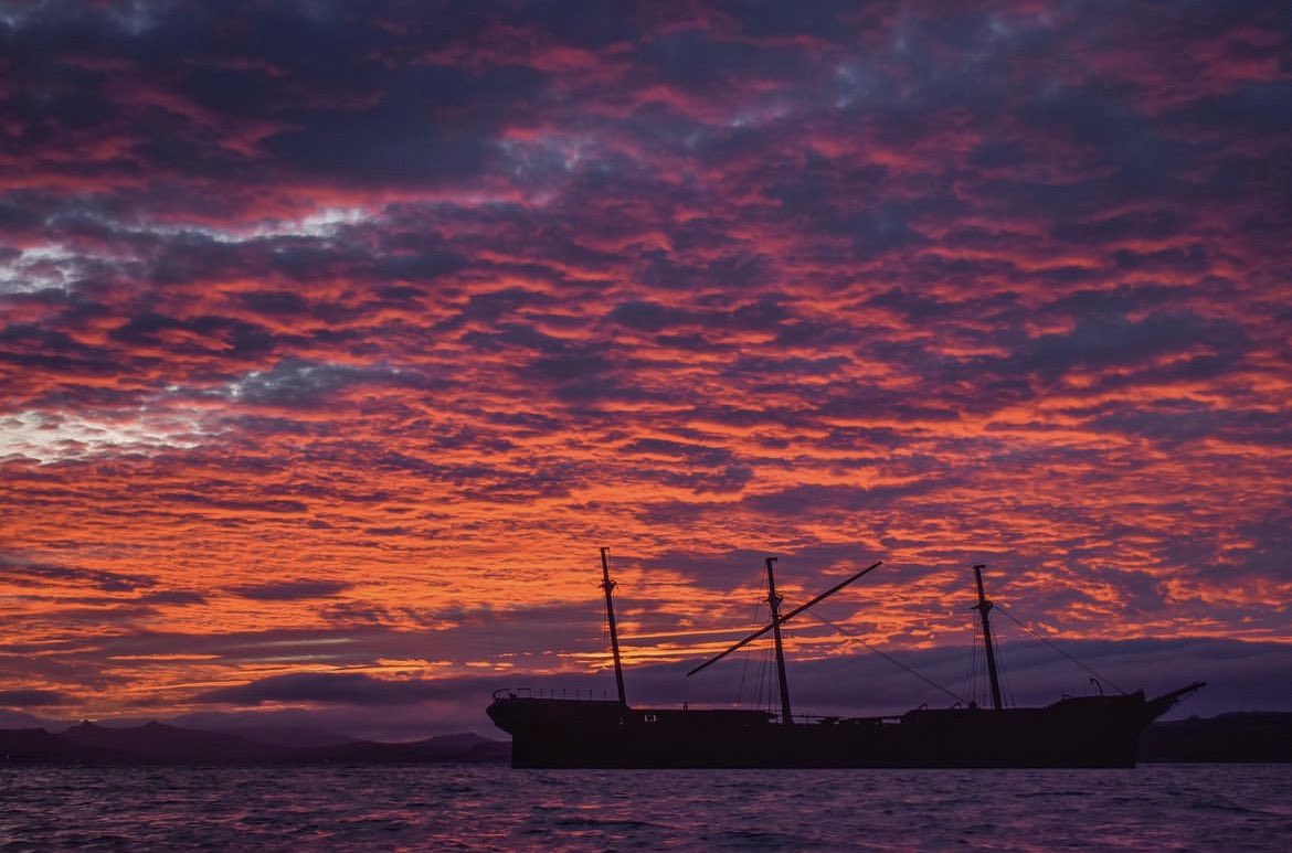 There are sunsets, and then there are Falklands sunsets. 🇫🇰🌅 📸 @FITBTourism