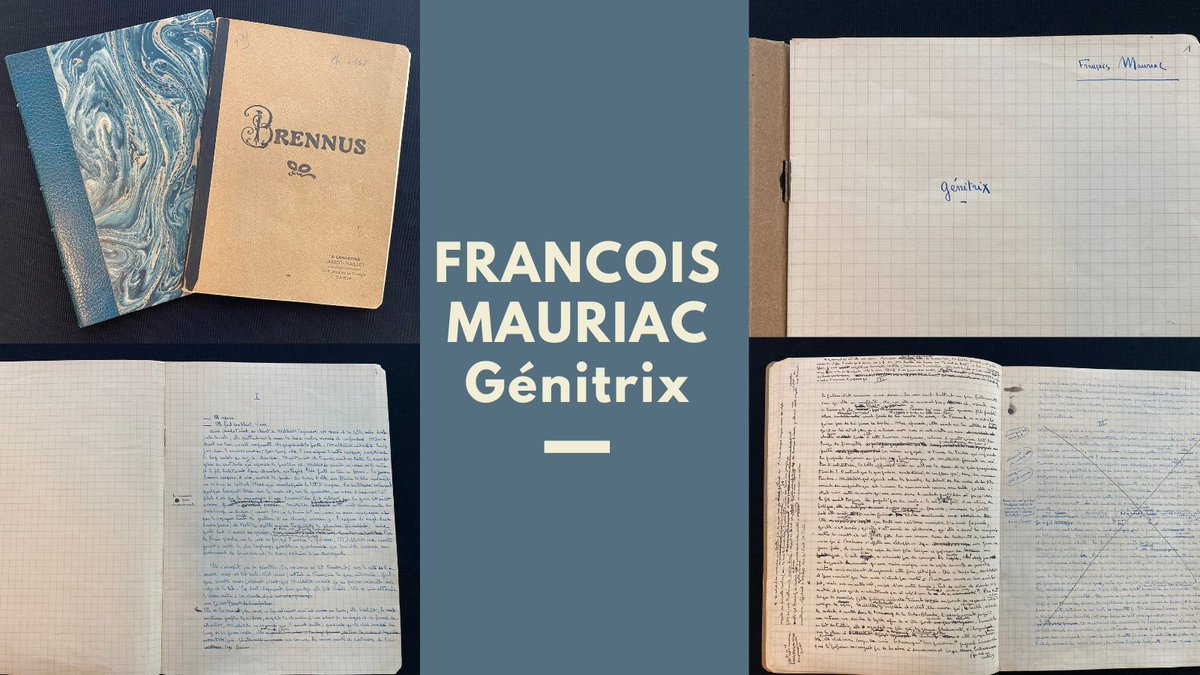 Séléné BM Bordeaux tweet media