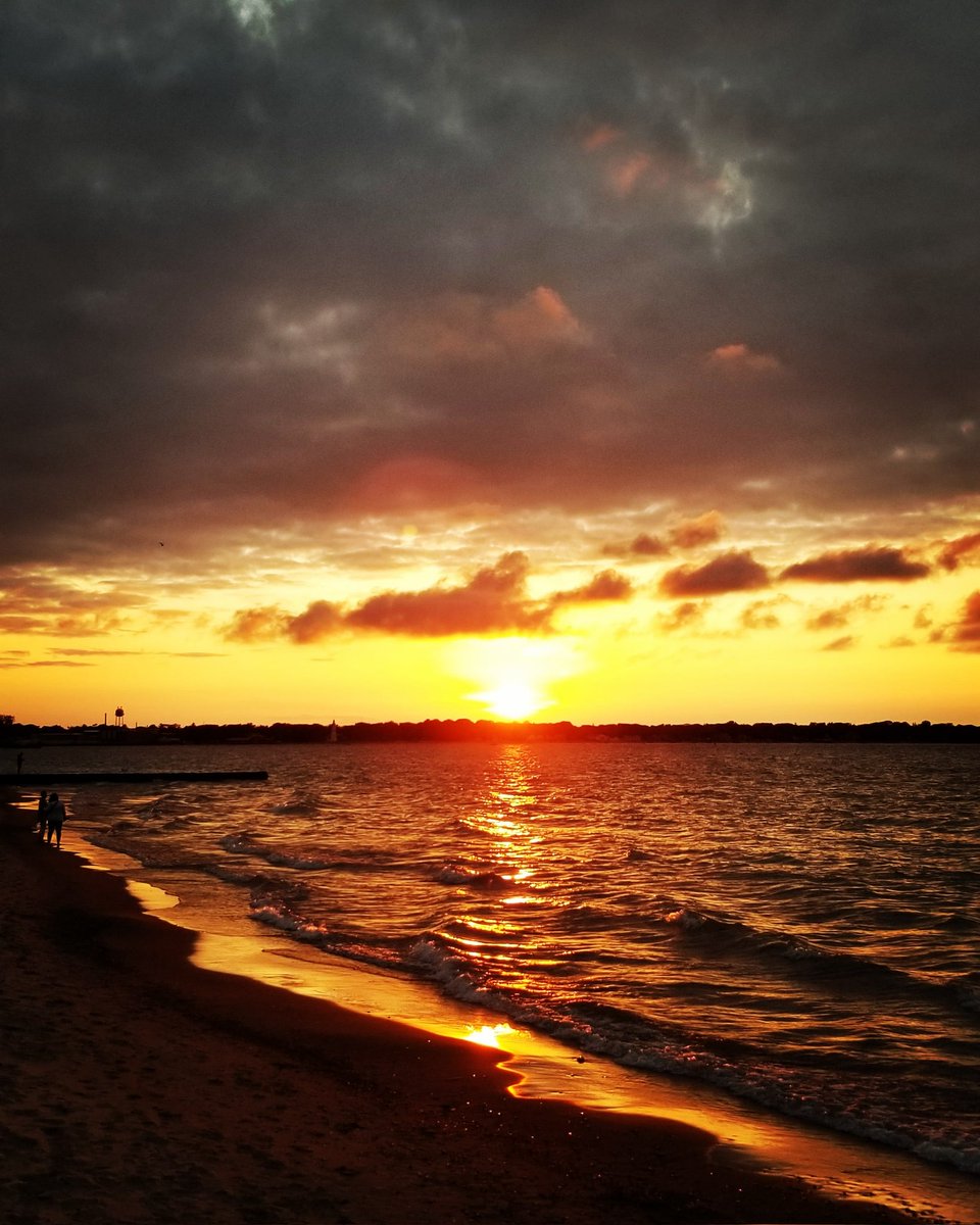 Bali Author tweet media