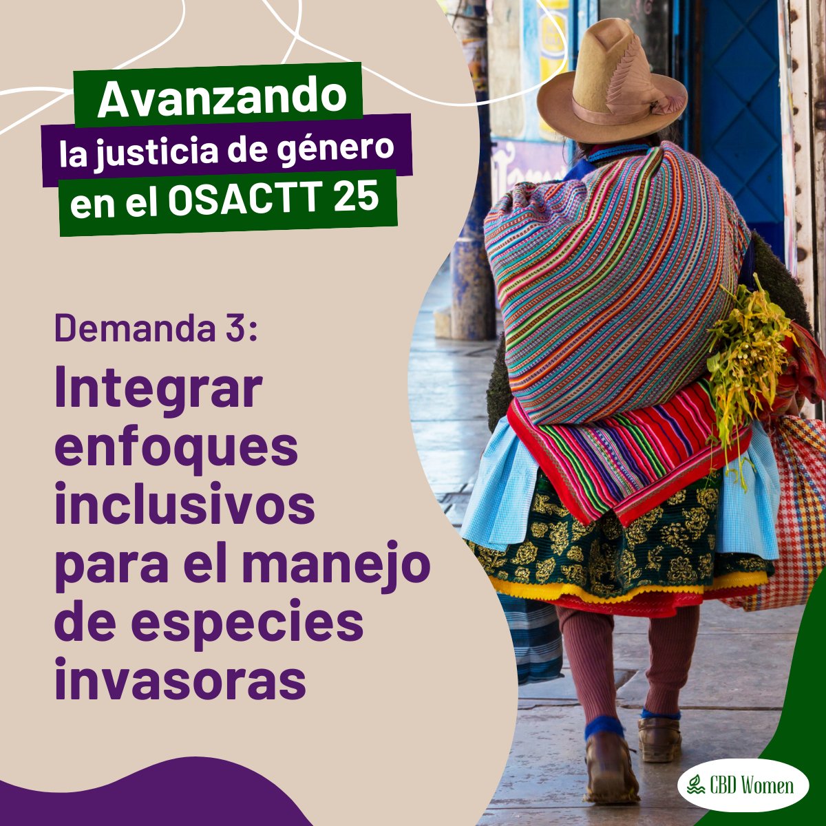 EcoMaxei's tweet photo. 🌎 Enfoques inclusivos para la gestión de especies invasoras 🌿

Juntos, ¡trabajemos por soluciones sostenibles en la lucha contra las especies exóticas invasoras! 🌍✨

#FromAgreementToAction #GenderIsABiodiversityIssue https://t.co/NFr7JEXwGt