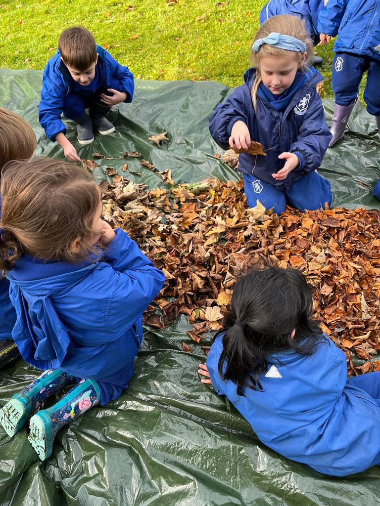 BWS_EYFS's tweet photo. Reception Class had a wonderful time at Forest School today. They explored and investigated the Autumn leaves and had lots of fun 🍁🍂  #eyfs #forestschool #autumn #learningthroughfun https://t.co/Mc1Z74iyHI