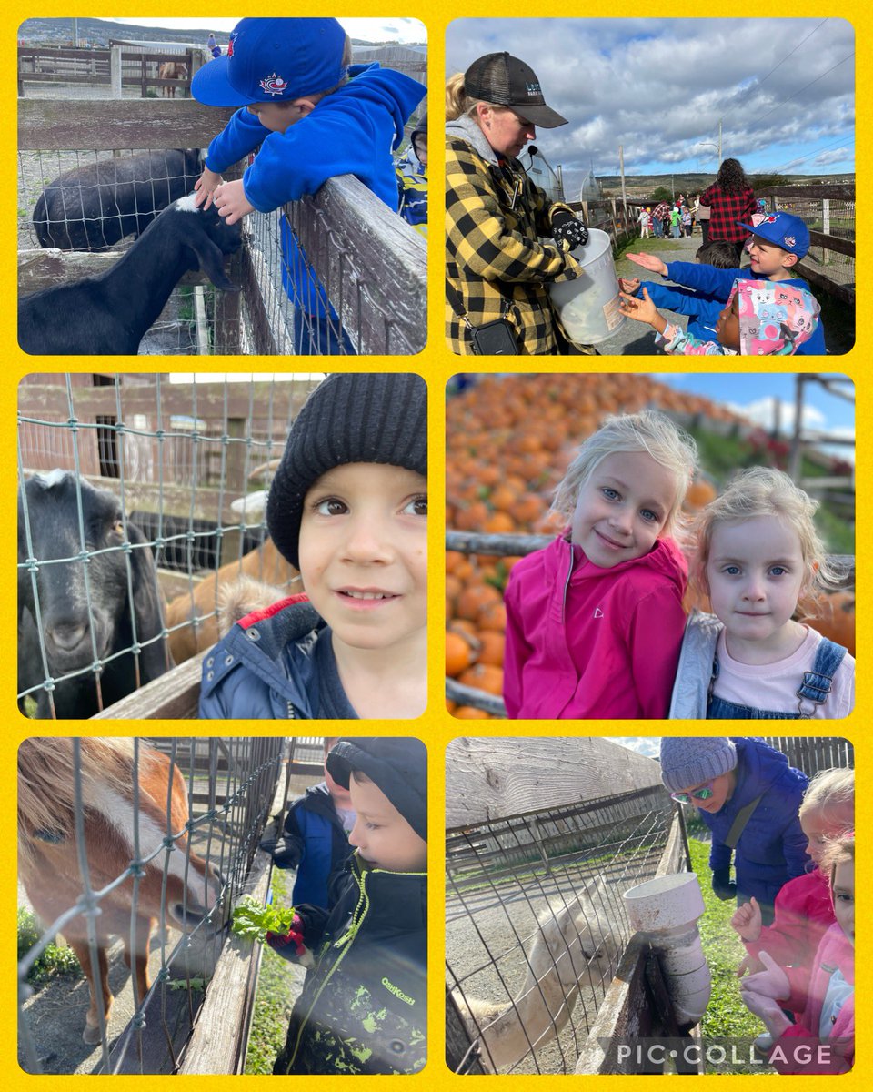 barboursme5's tweet photo. Our first field trip in kindergarten 😁 #lestersfarm #goats #cows #pumpkinpatch #hayride #sliding #icecream #missbarboursclass #bees @stmaryselem https://t.co/ekaz36J6Vx