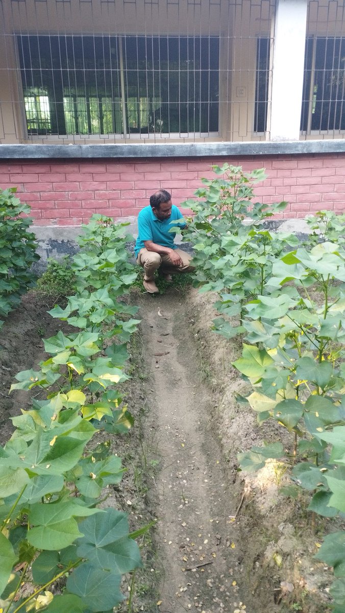 Mosfeq (@mosfeq2) on Twitter photo 