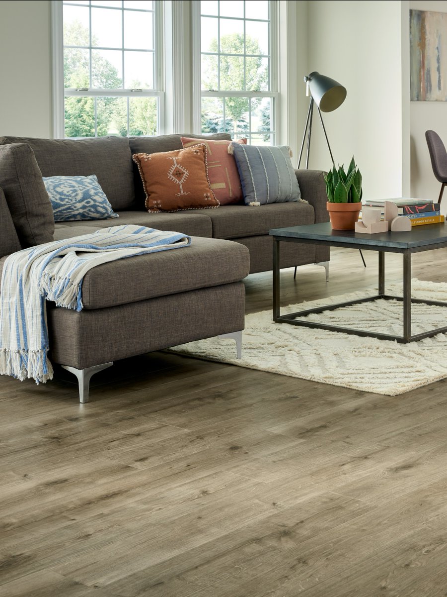 pergo's tweet image. Experience the elegance of modern wood-look floors with the unbeatable waterproofing and durability of laminate. 

💻: bit.ly/3QgZC0D

#Pergo #Defense+ #WetProtect #waterproof