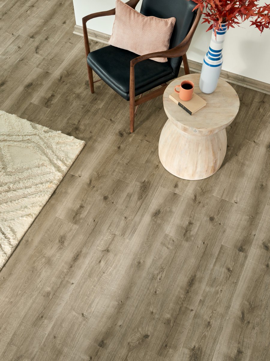 pergo's tweet image. Experience the elegance of modern wood-look floors with the unbeatable waterproofing and durability of laminate. 

💻: bit.ly/3QgZC0D

#Pergo #Defense+ #WetProtect #waterproof