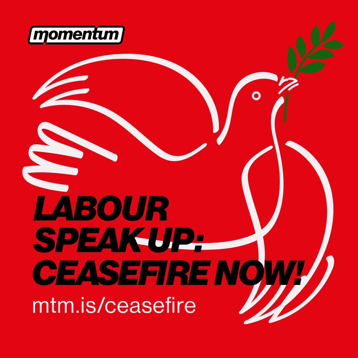 PeoplesMomentum's tweet photo. Labour supporter? Want Labour's MPs and Leadership to speak out for peace, against the bombing of Gaza ?

Use our lobbying tool now: https://t.co/EKSJI9oDNz https://t.co/TtS0xp5F76