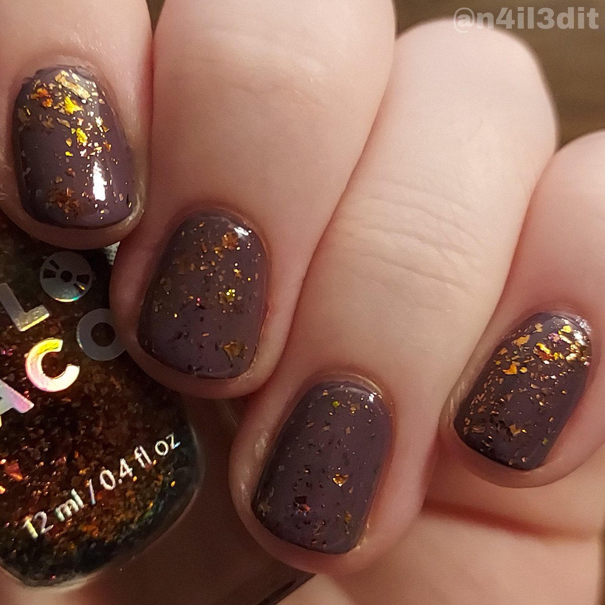 Holo #amethystkittens and here is a purple fall combo 💜 

💜💜
Products from 
@holotaco @nailogical 
💜💜

#holotaco #holotacocombo #purplenails #flakietopper #nailsoftoday #nailsoftheday #nailsofoctober #nailsof2023