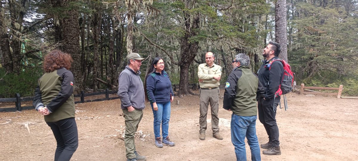 CONAF - Corporación Nacional Forestal tweet media