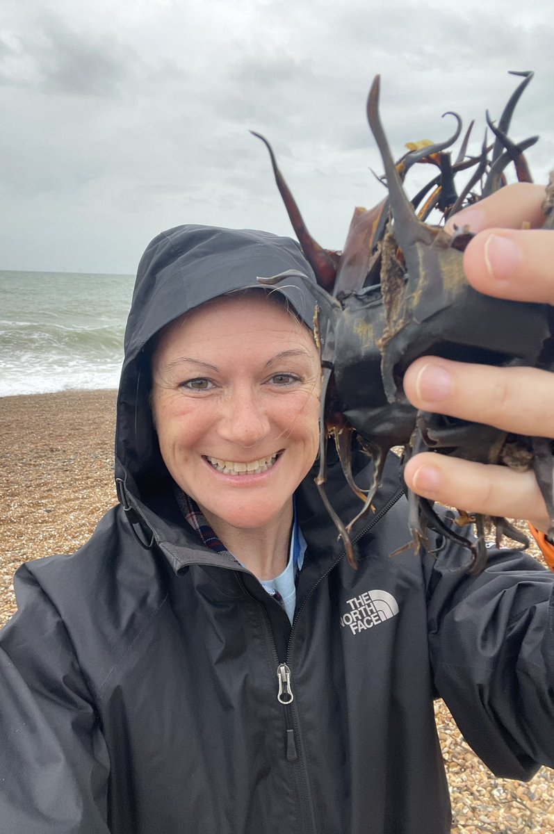 🦈 Dr. Lauren Smith tweet media