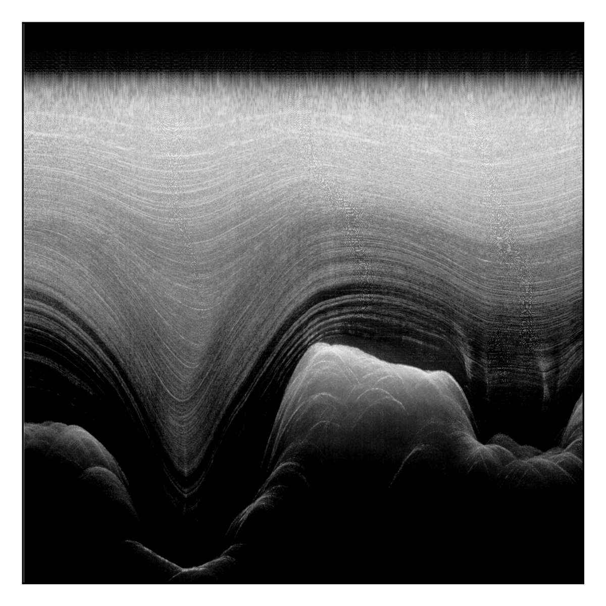 Ben Hills tweet media