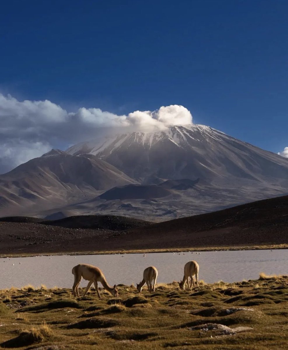 EmilianoSecoB's tweet photo. Aprovecho este ínfimo momento de High popularity en esta red social para mostrar lo hermosa que es Catamarca, es literalmente el diamante en bruto del turismo argentino 
📍Volcán Incahuasi 
📍Minas Capillita https://t.co/94T4rFuLtZ