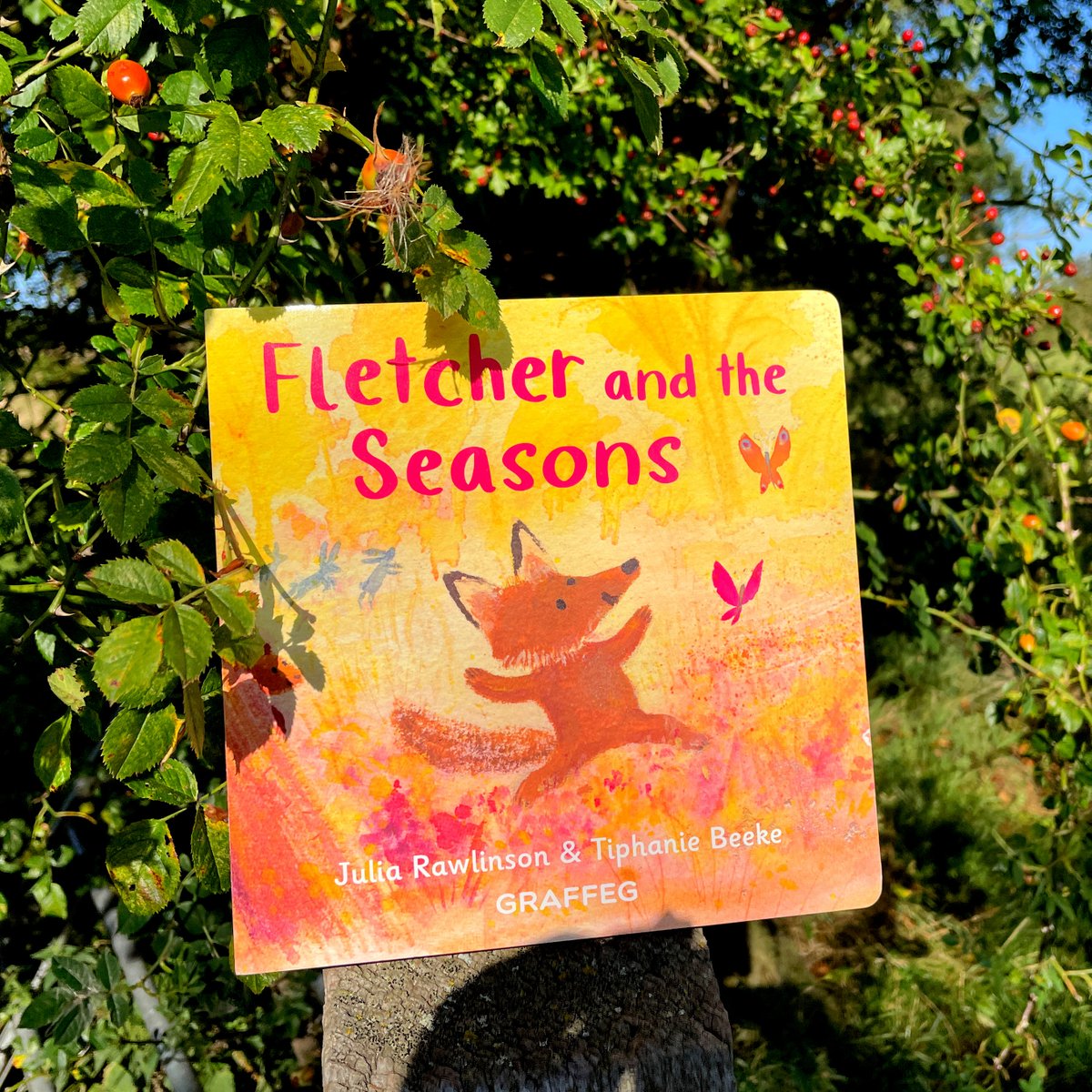 One week until Fletcher’s first board book hits the shelves! Photo taken back when the rose hips and hawthorn berries were at their brightest – lucky, as today is more puddle-jumping than book-photographing weather #FletchersFourSeasons #FletcherAndTheSeasons #BoardBook