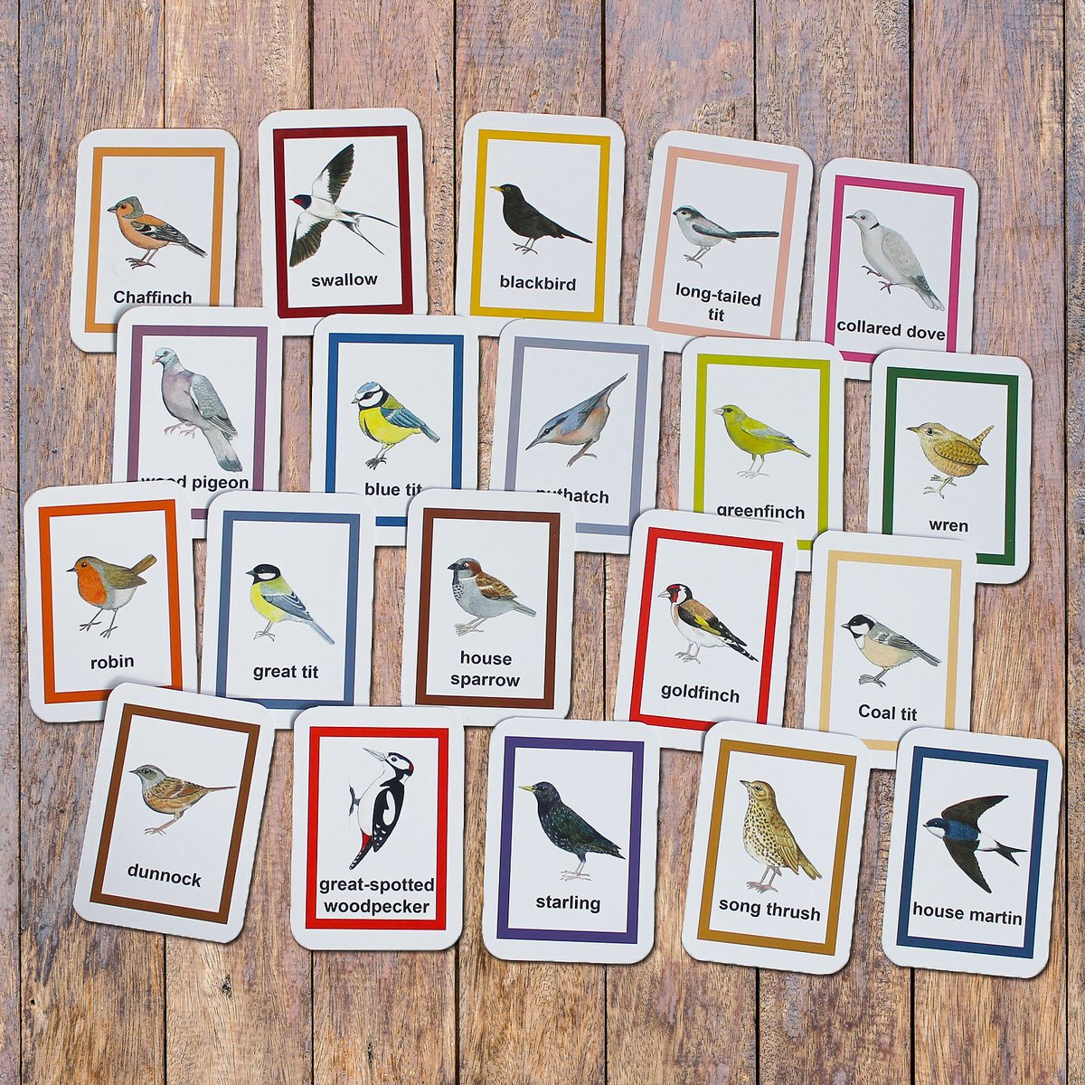 Flash Cards - Garden Birds meadowinmygarden.co.uk/products/copy-… #gifts