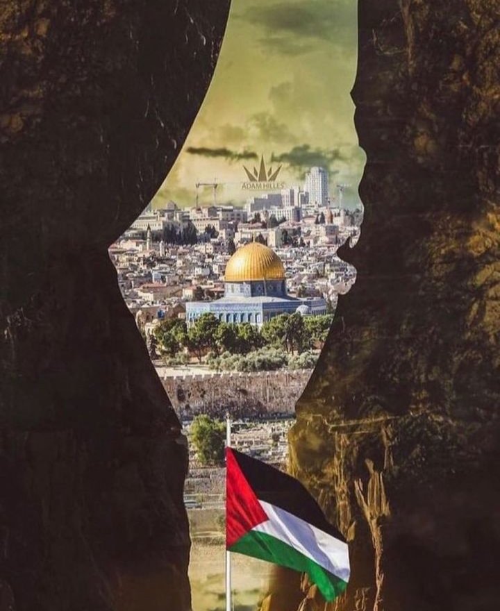 السّرحان tweet media