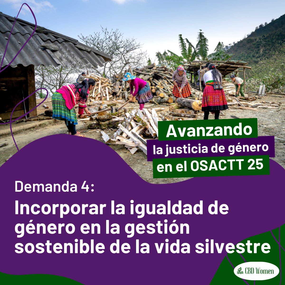 EcoMaxei's tweet photo. 🦋 La igualdad de género en la gestión sostenible de la vida silvestre 🌿
¡Avancemos de la mano en la igualdad de género y la gestión sostenible de la vida silvestre! 🌎✨

#FromAgreementToAction #GenderIsABiodiversityIssue https://t.co/7jprueEacT