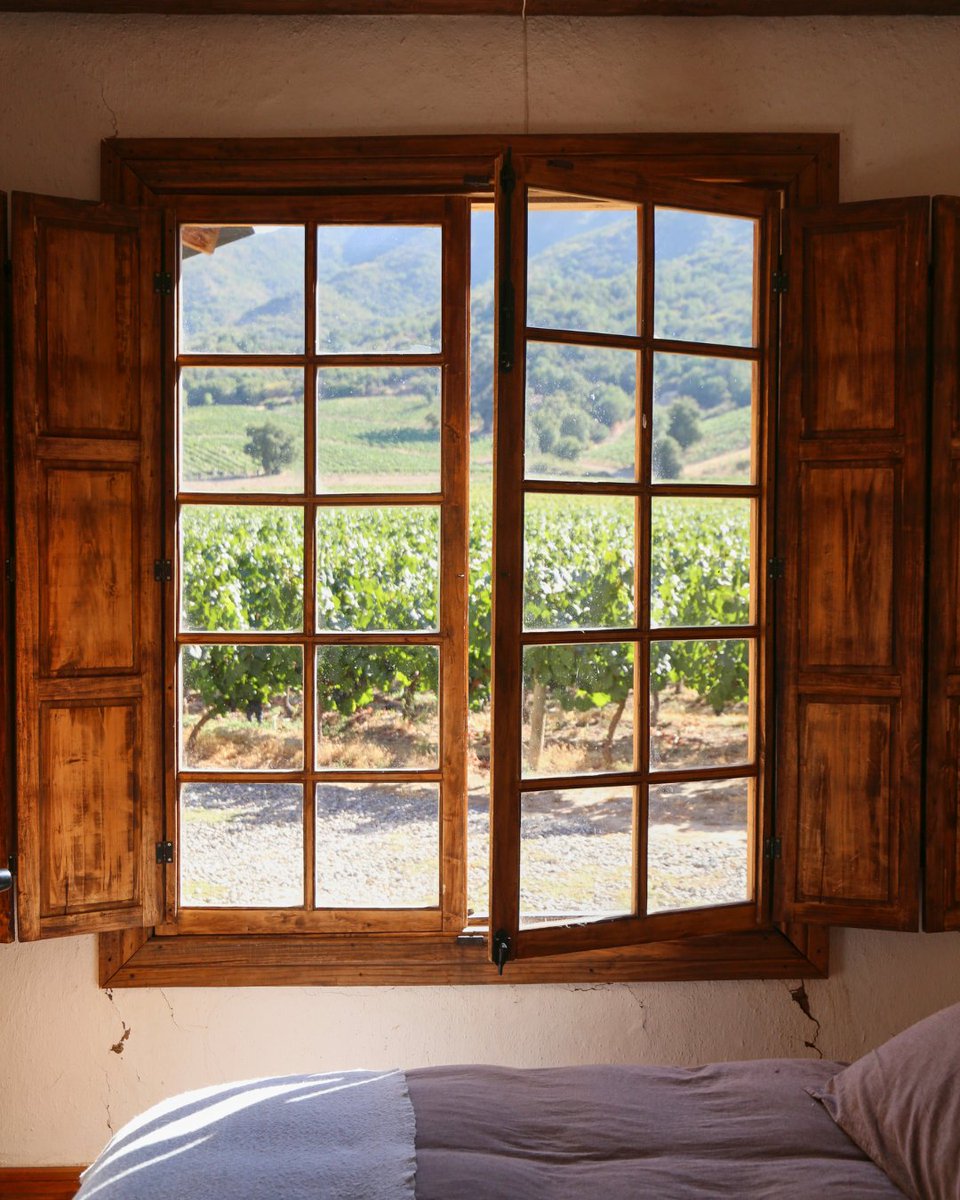 MontesWines's tweet photo. Have you ever visited the Montes Guest House?

Experience a completely unique stay in our traditional adobe and wood home. 

1/2 https://t.co/iDlzujCLWh