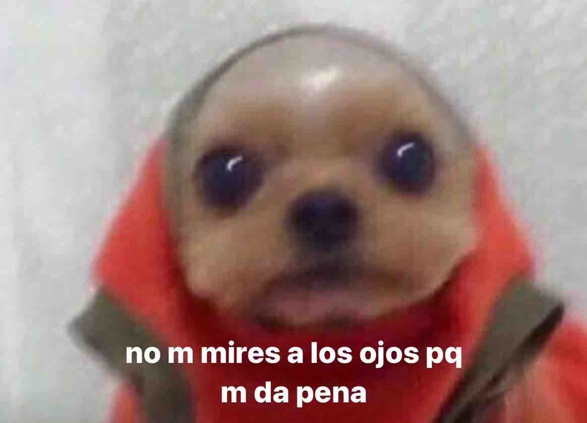 Guarromantico_'s tweet photo. *Yo por chat diciendo de todo*

Yo en persona: https://t.co/QqlBTkd9BJ