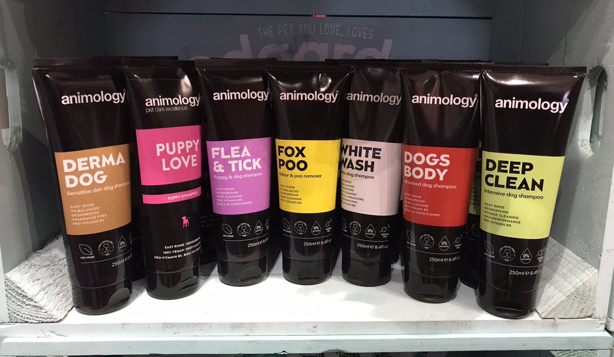 Muddy season has arrived!!! 💦🌧☔️
#puddlefun
#rainydays 
#shoplocal