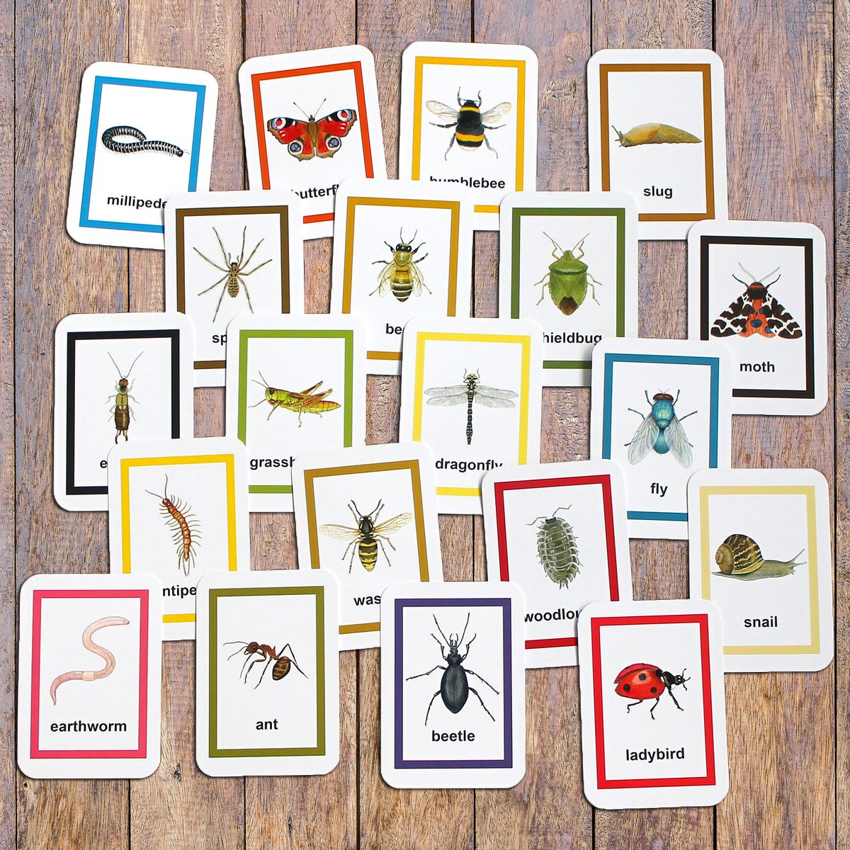 Flash Cards - Minibeasts meadowinmygarden.co.uk/products/copy-… #gifts