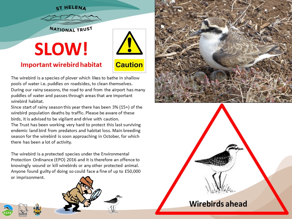 St Helena National Trust tweet media