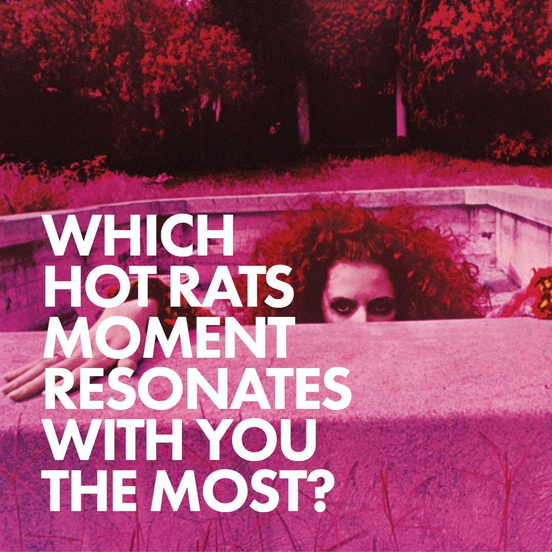 Frank Zappa tweet media