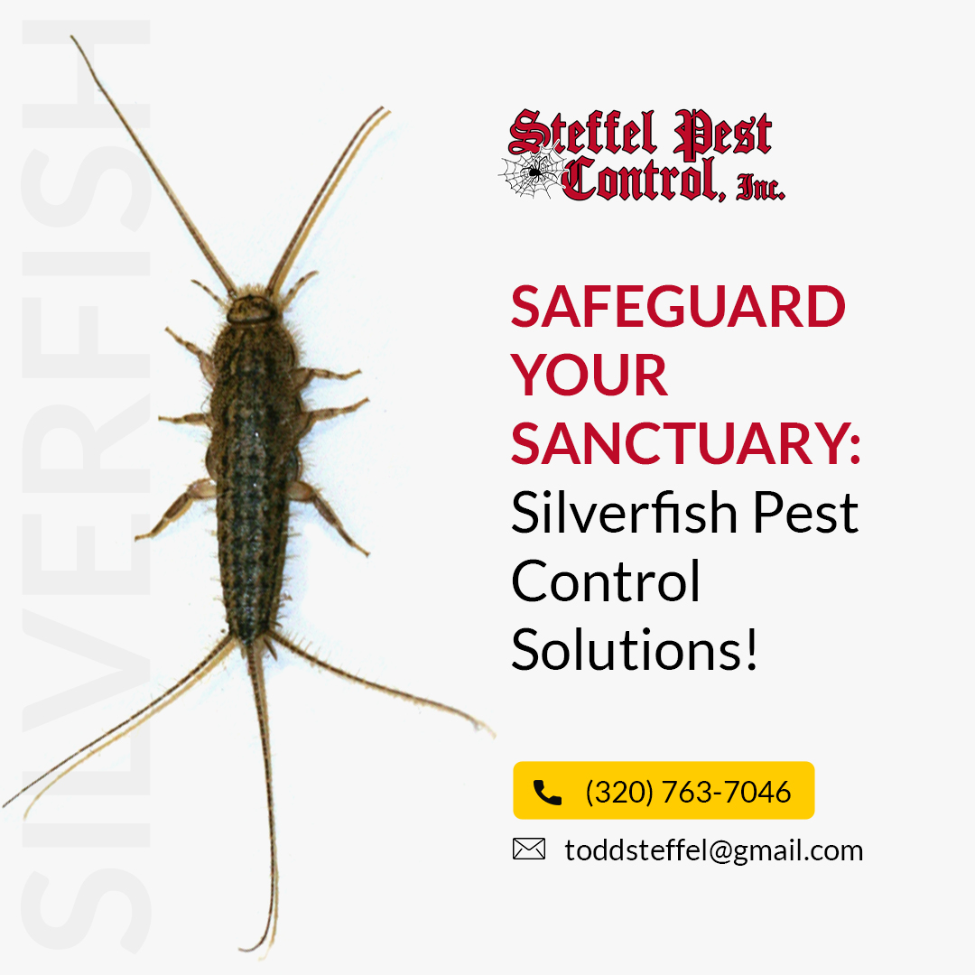 SteffelPestCon's tweet image. 🪳🚫 &quot;Silverfish Be Gone!&quot; 🚫🪳

Say goodbye to silverfish infestations! Our expert pest control team is here to ensure your home stays silverfish-free. 🏡✨

Call us at 📞(320) 763-7046 or visit us 🌐 steffelpest.com/services/silve…

#SilverfishControl #PestFreeHome