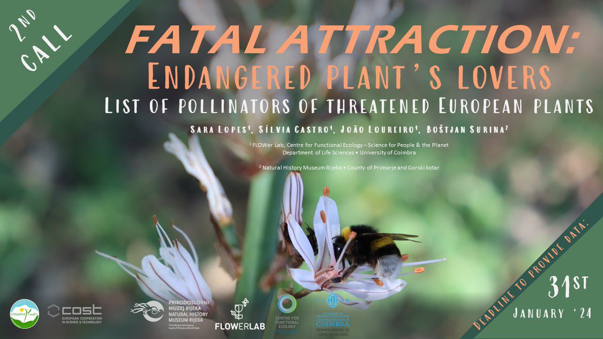 ❗2nd Call for collaboration ‘’Fatal attraction: endangered plant’s lovers’’❗. 

Considering that some participants have not yet had the opportunity to provide their data, we are opening this 2nd call with a deadline of January 31, 2024 🗓️

📝More here: docs.google.com/forms/d/e/1FAI…